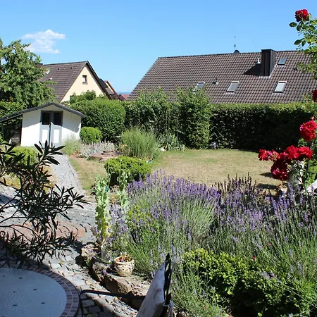 Weinbergsnest Am Main